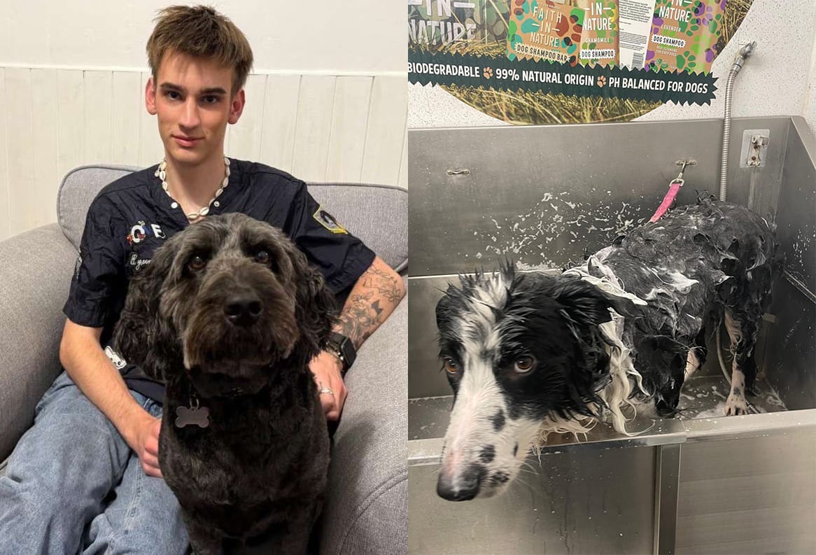 Billy professional dog groomer and two dogs